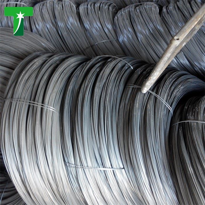 ASTM Hot Dipped Galvanized Steel Wire